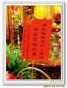 慶典照片
