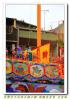 慶典照片
